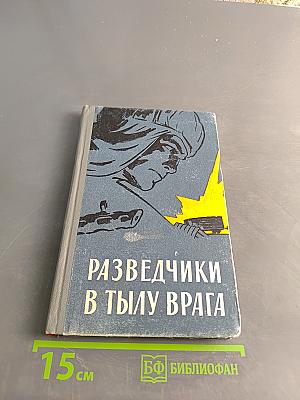 Разведчики в тылу врага