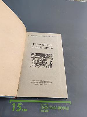 Разведчики в тылу врага