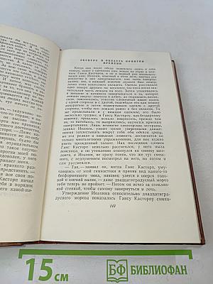 Волшебная гора. Том третий