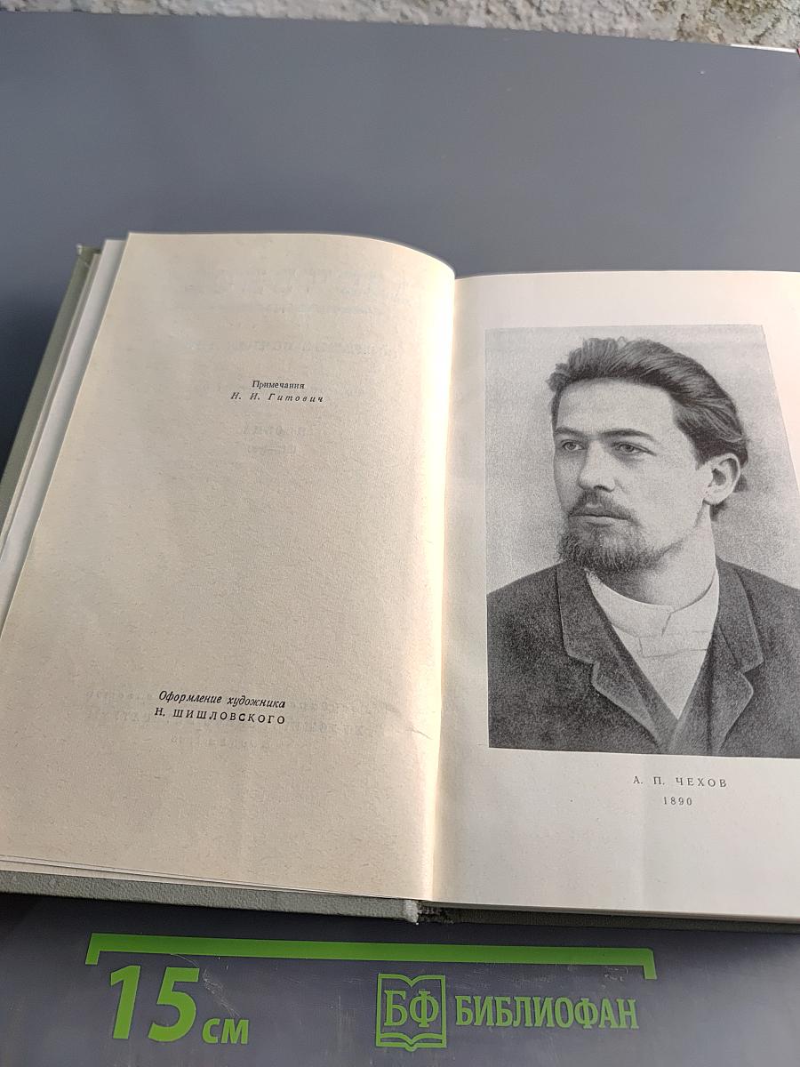 Собрание сочинений. Том одиннадцатый. Письма 1877-1892