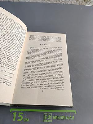 Собрание сочинений. Том одиннадцатый. Письма 1877-1892
