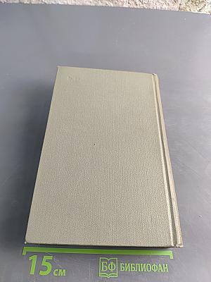 Собрание сочинений. Том одиннадцатый. Письма 1877-1892