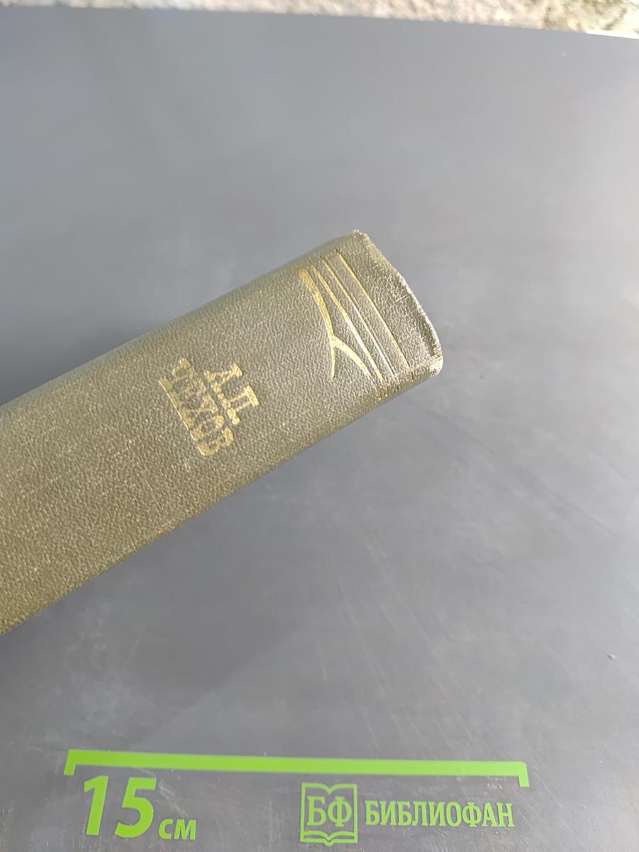 Собрание сочинений. Том одиннадцатый. Письма 1877-1892