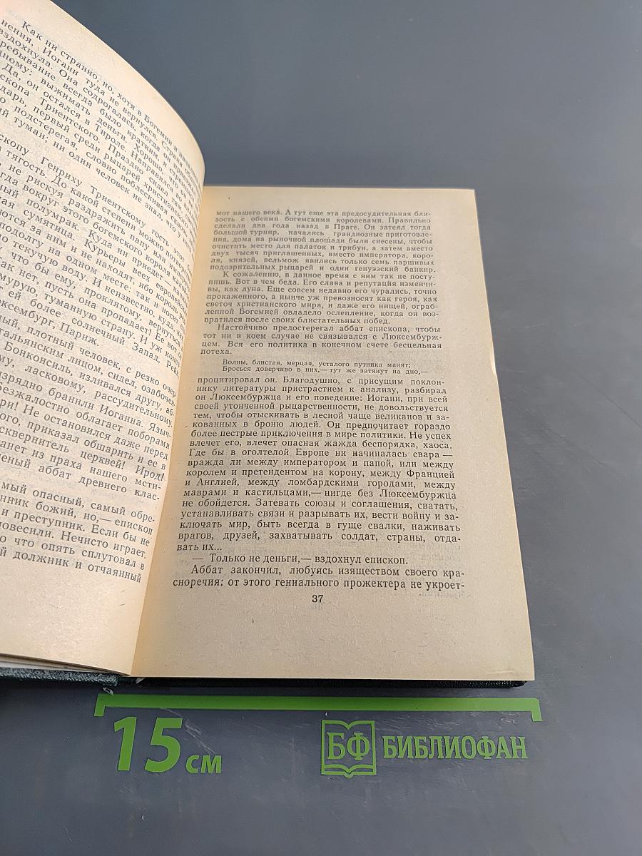 Безобразная герцогиня Маргарита Маультэш. Семья Опперман