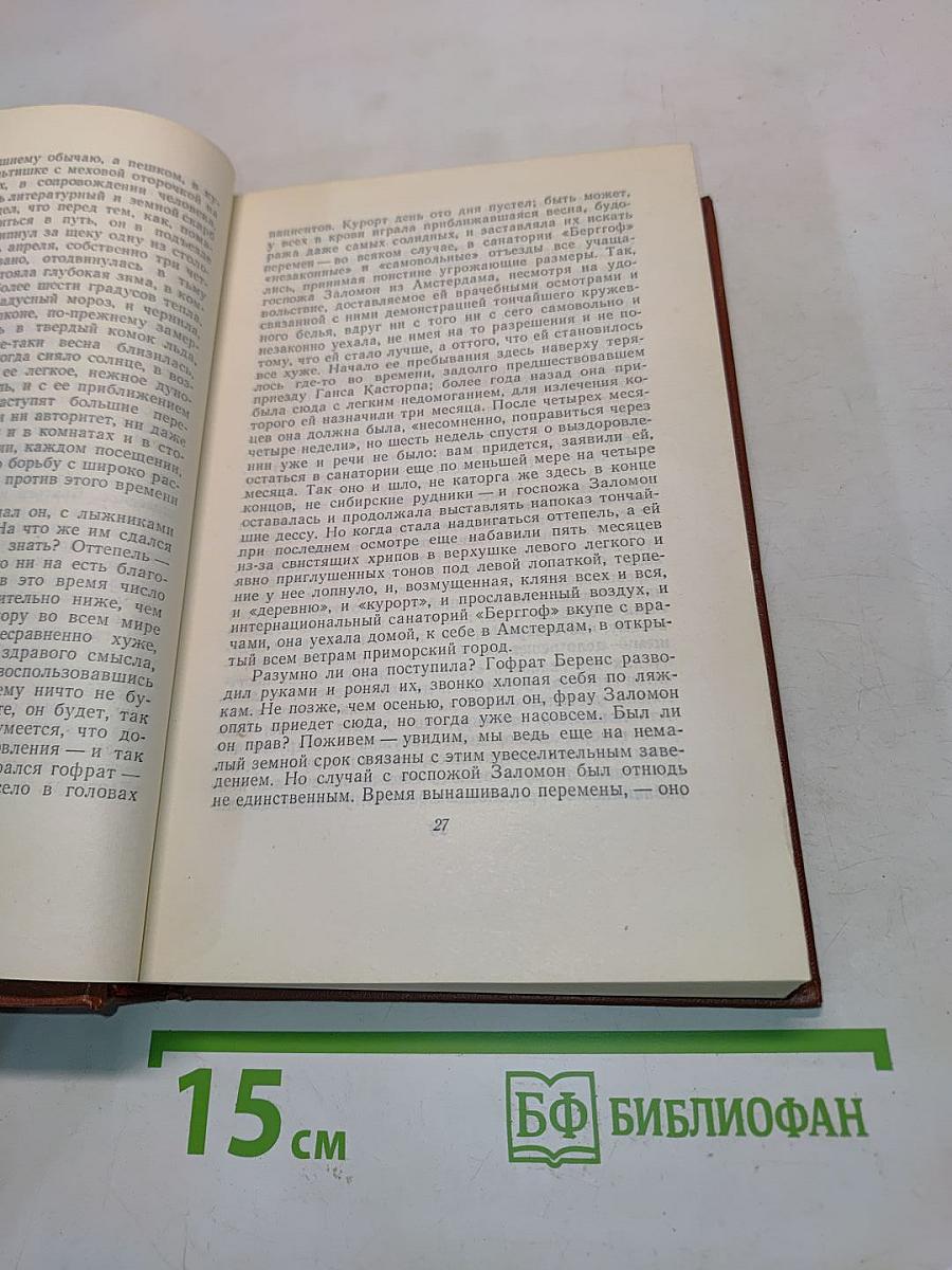 Собрание сочинений. Том четвертый. Волшебная гора
