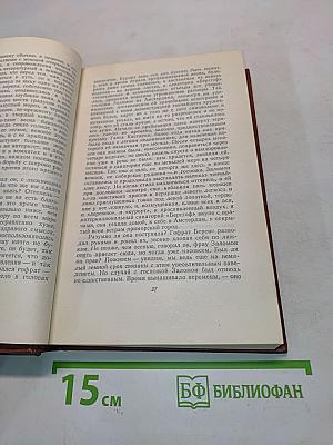 Собрание сочинений. Том четвертый. Волшебная гора