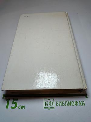 Квартеронка. Морской волчонок