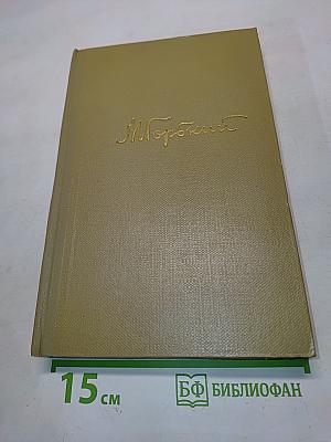 Собрание сочинений. Том 13. Жизнь Каима Самгина