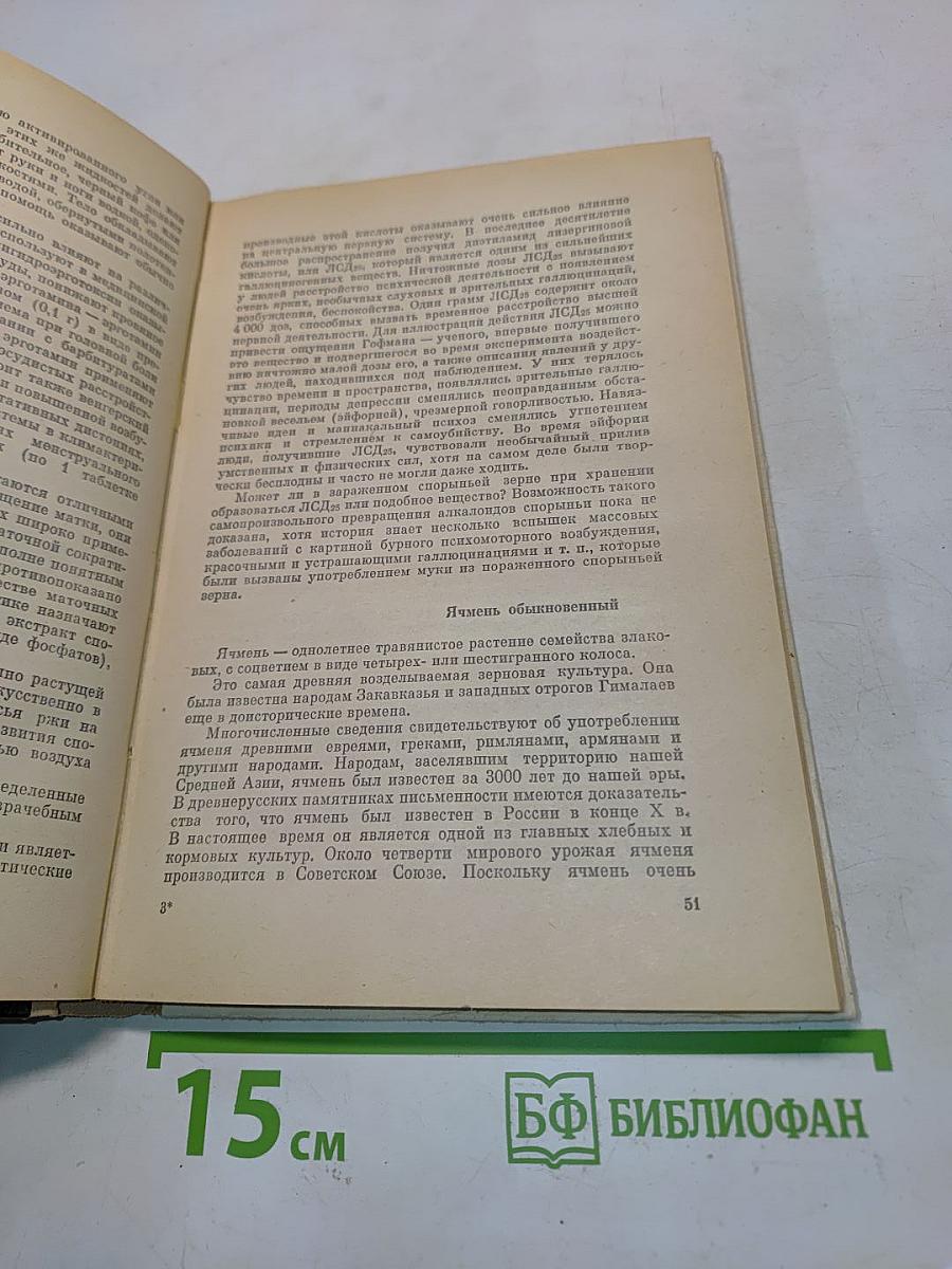 Целебные свойства пищевых растений