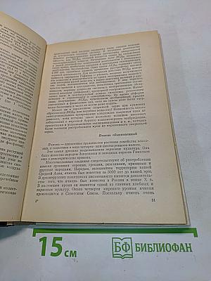 Целебные свойства пищевых растений