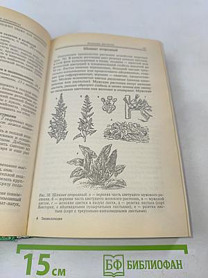 Современная энциклопедия овощевода