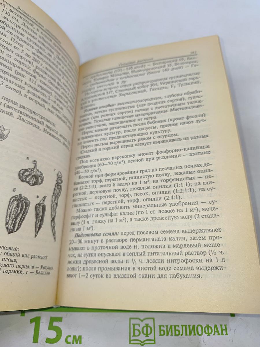 Современная энциклопедия овощевода