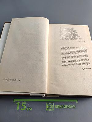 Россия молодая. Исторический роман. Книга первая