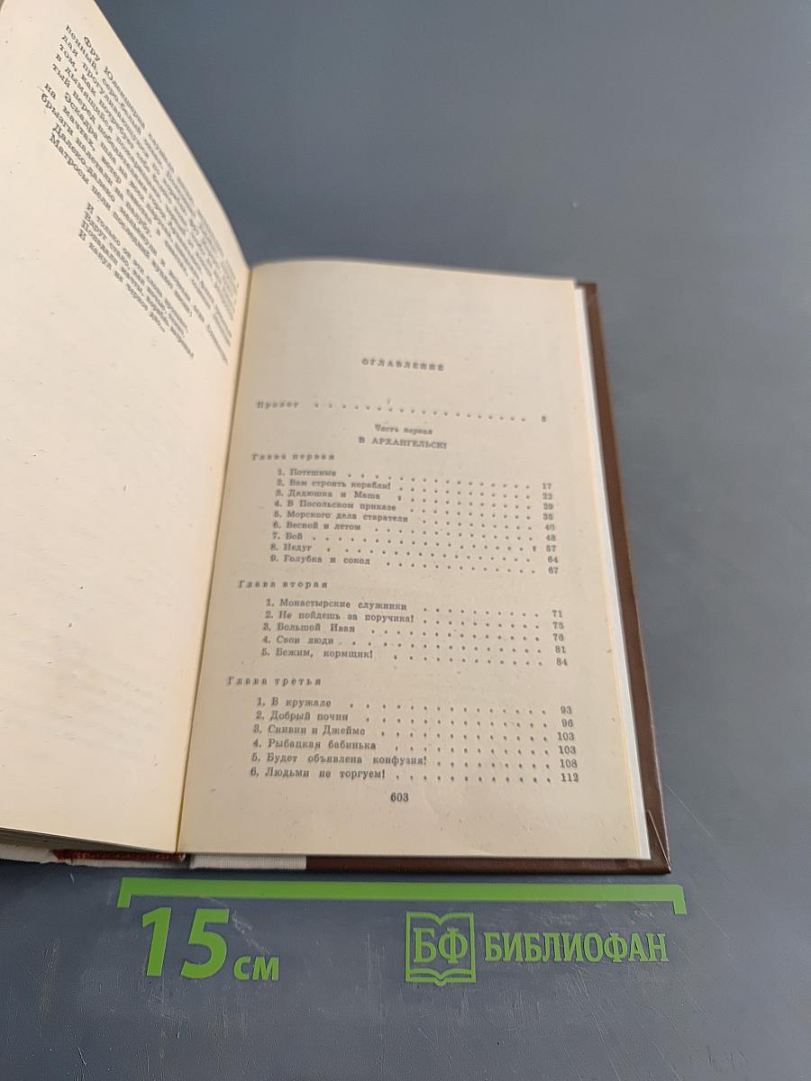 Россия молодая. Исторический роман. Книга первая