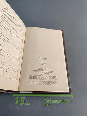 Россия молодая. Исторический роман. Книга первая