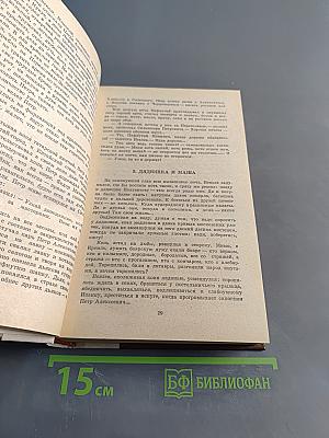 Россия молодая. Исторический роман. Книга первая