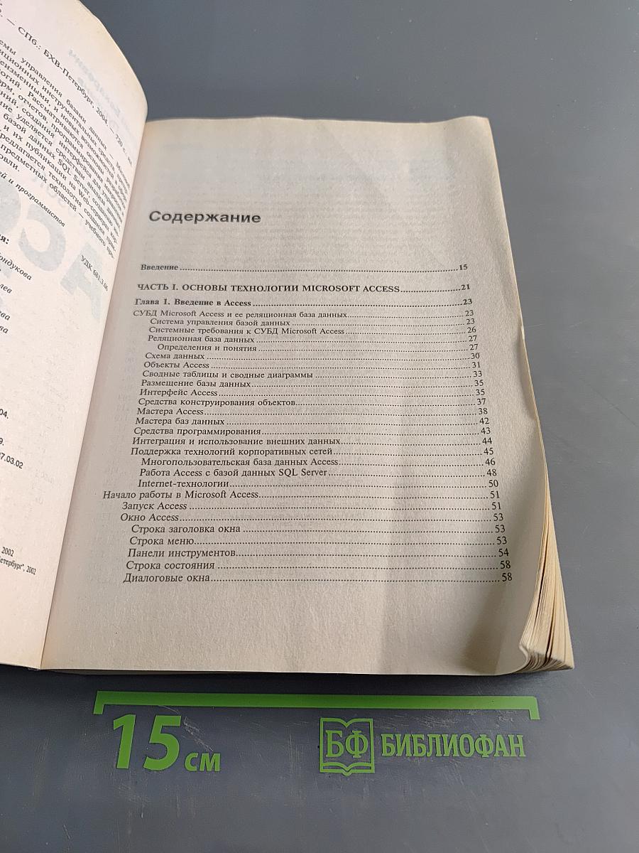 Самоучитель Microsoft Access 2002