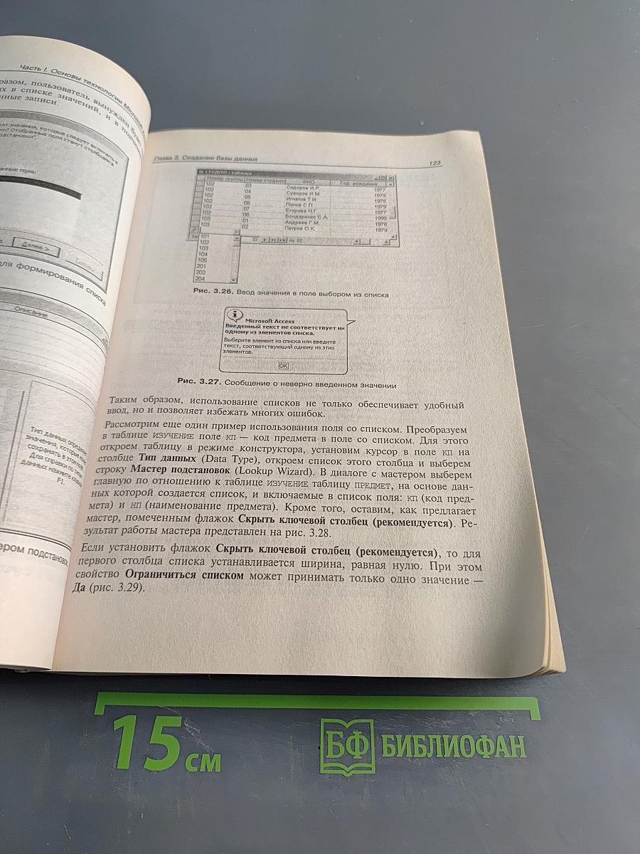 Самоучитель Microsoft Access 2002