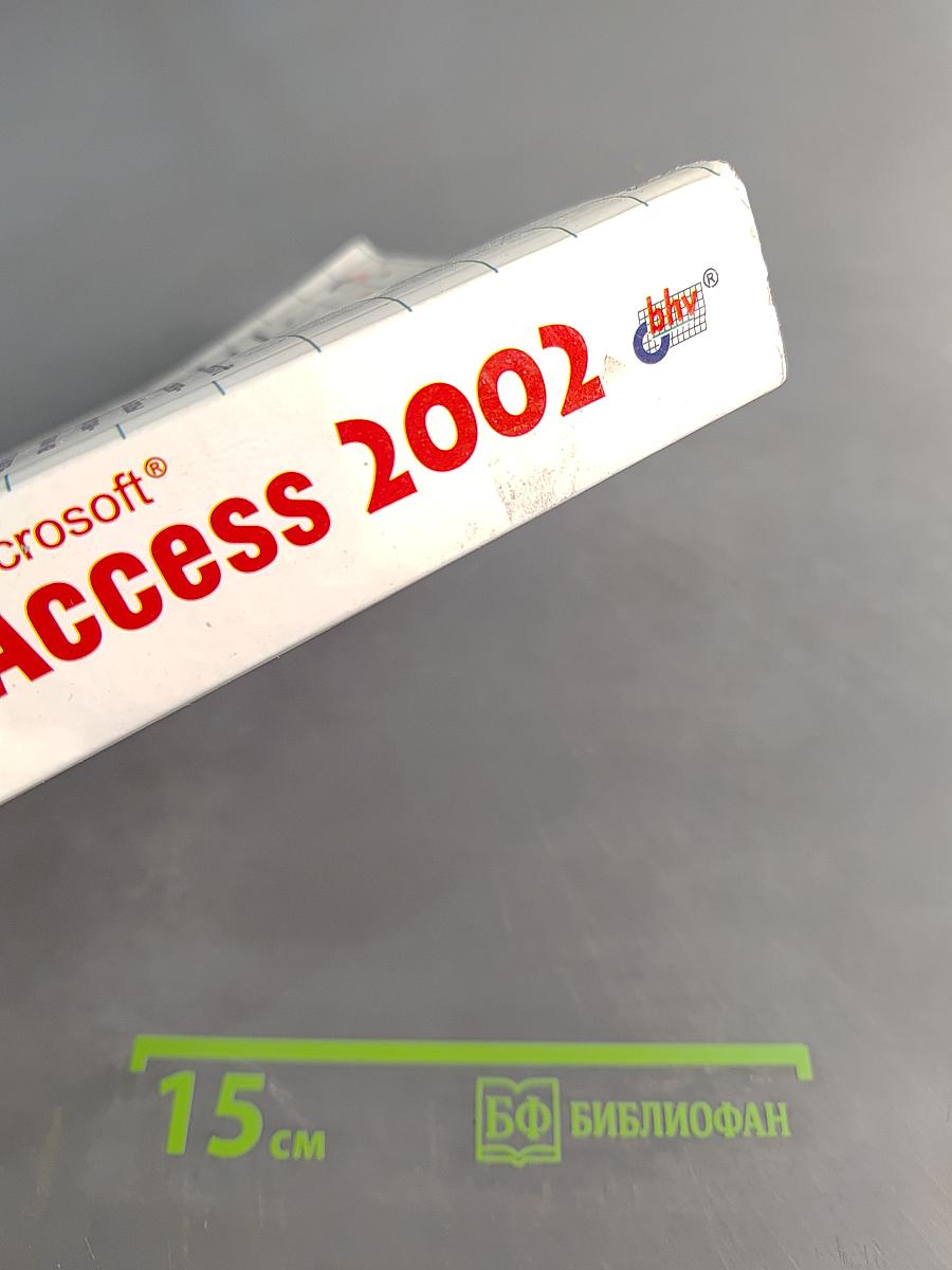 Самоучитель Microsoft Access 2002