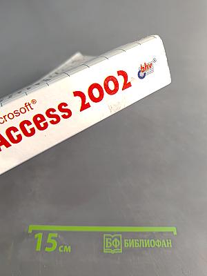 Самоучитель Microsoft Access 2002