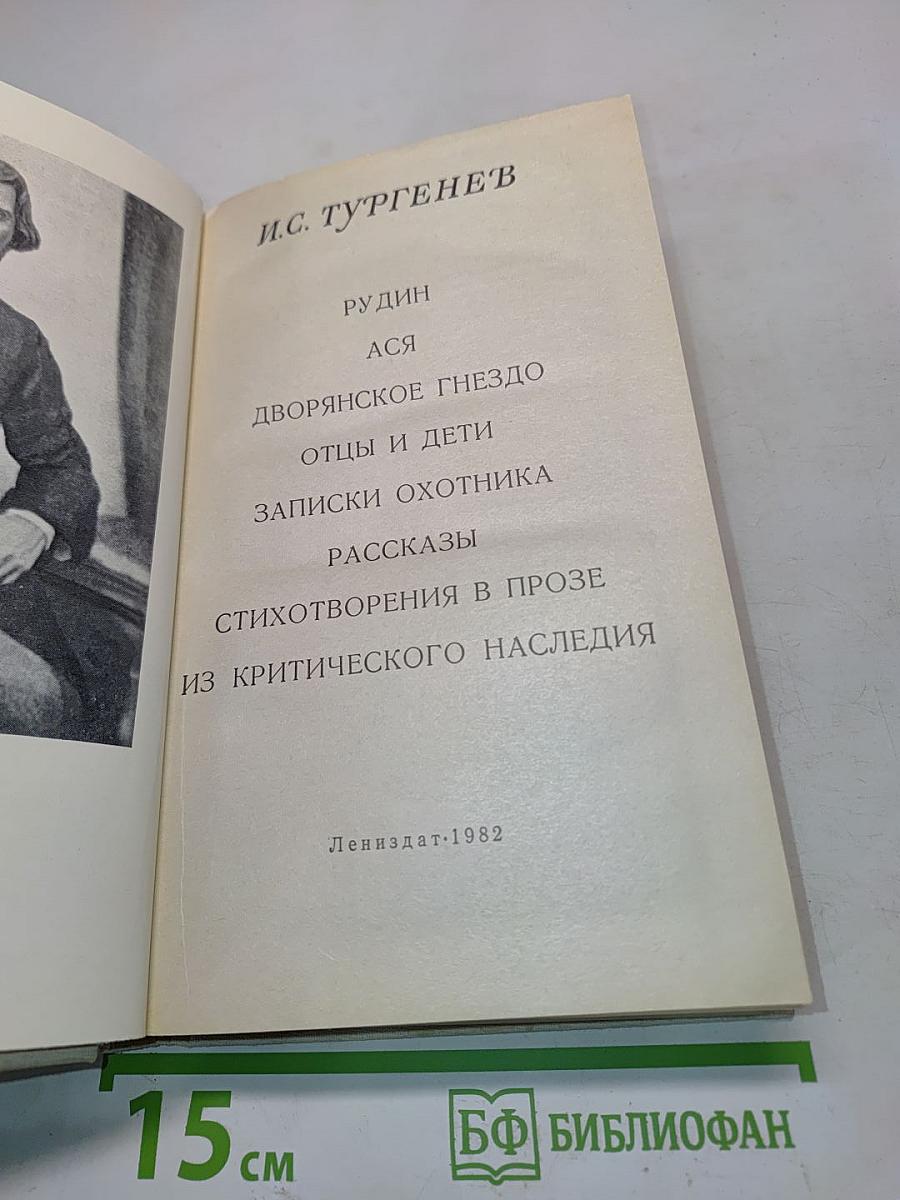 Стихотворения в прозе. Из критического наследия