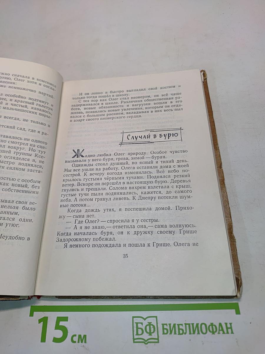 Повесть о сыне