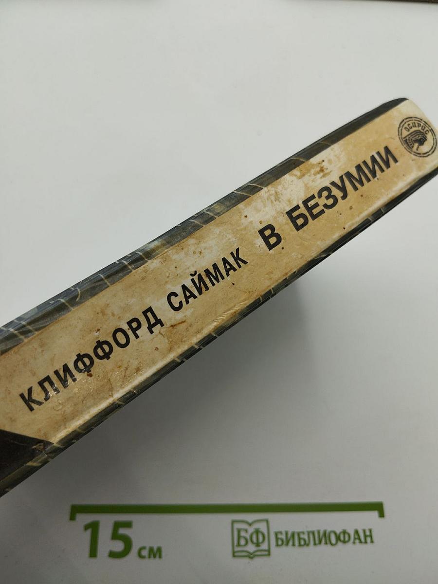 В БЕЗУМИИ. Фантастические романы