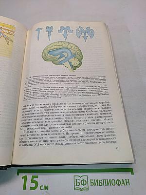 Детская неврология