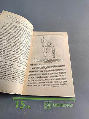 Уверенность. Эта книга научит тебя управлять судьбой