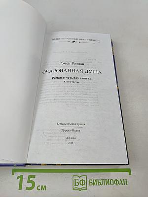 Очарованная душа. Книга 3