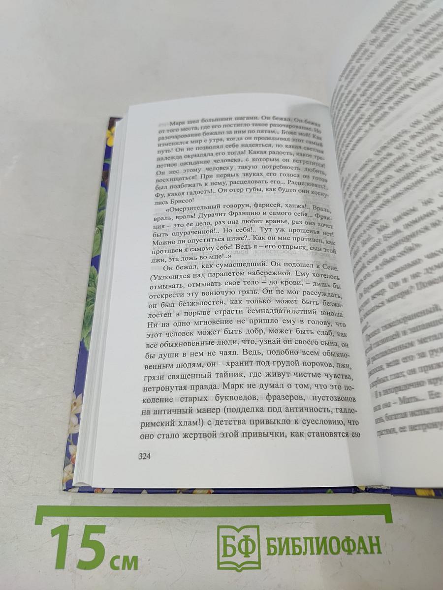 Очарованная душа. Книга 3