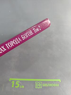 В поисках Города Богов. Том 2. Золотые пластины Харати