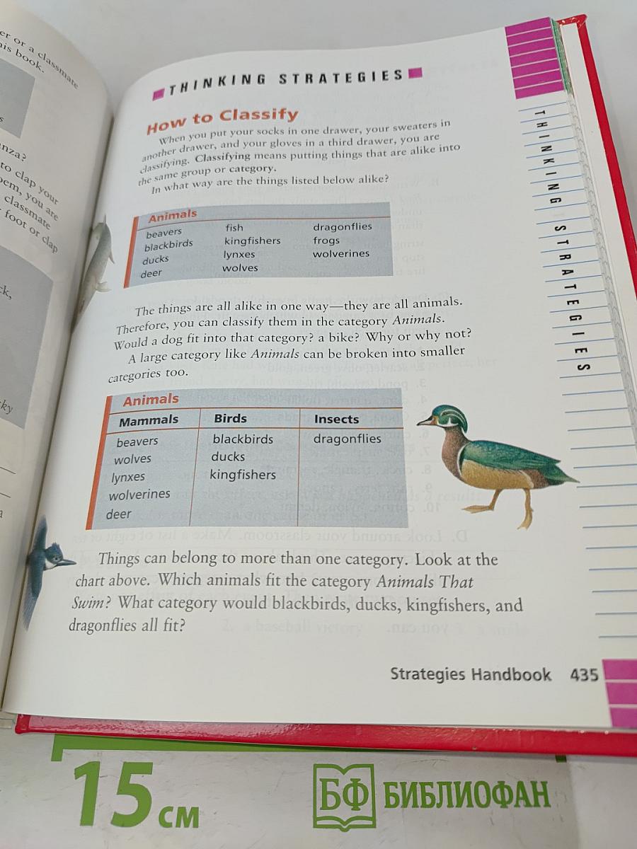 English