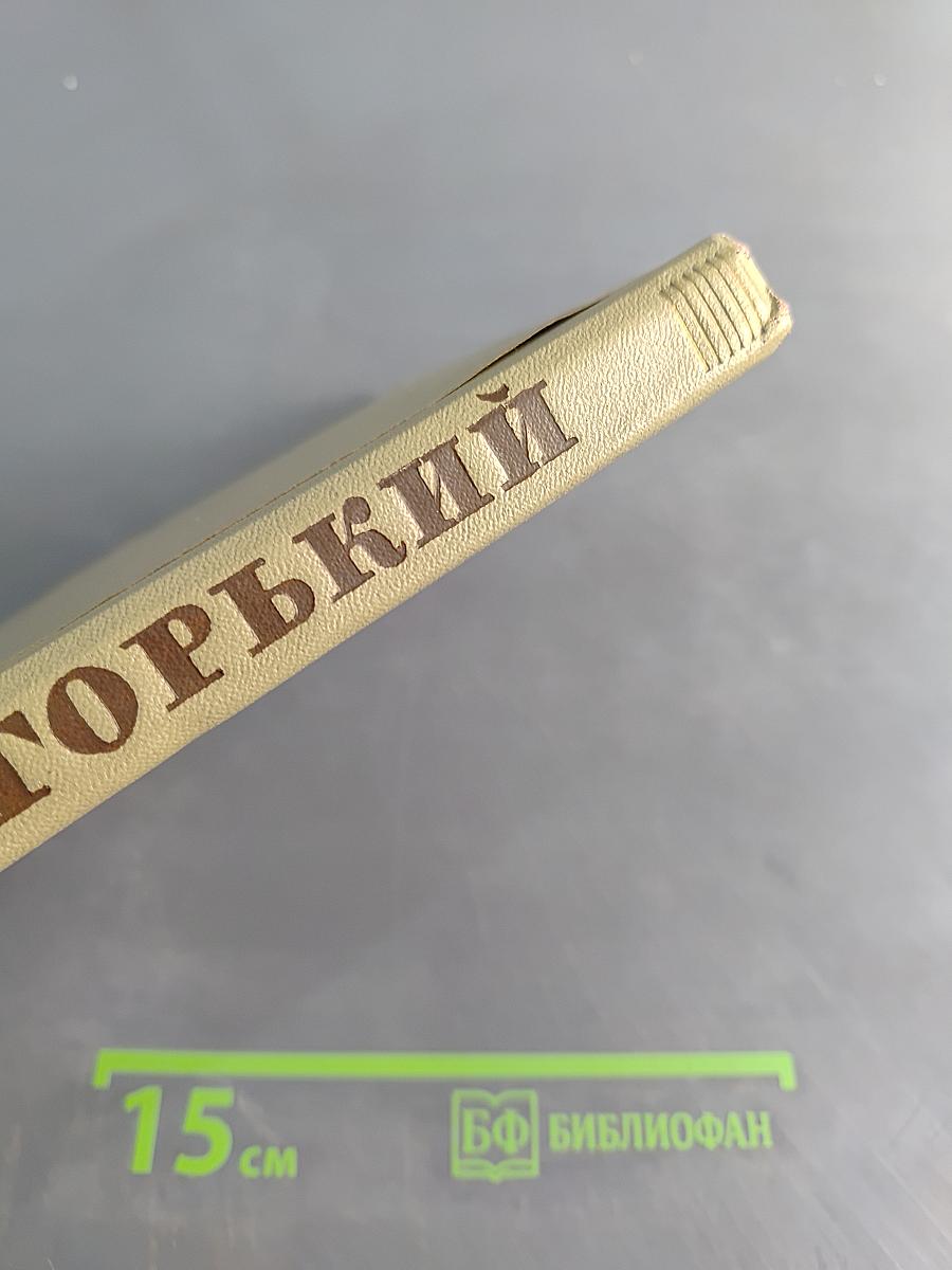 Собрание сочинений. Том 14. Жизнь Клима Самгина. Часть третья
