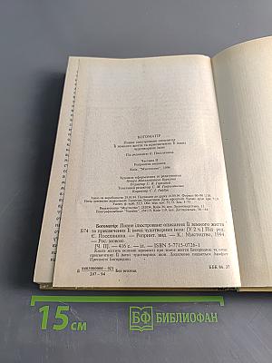 Богоматерь. Полное иллюстрированное описание ея земной жизни и посвященных ея имени чудотворных икон