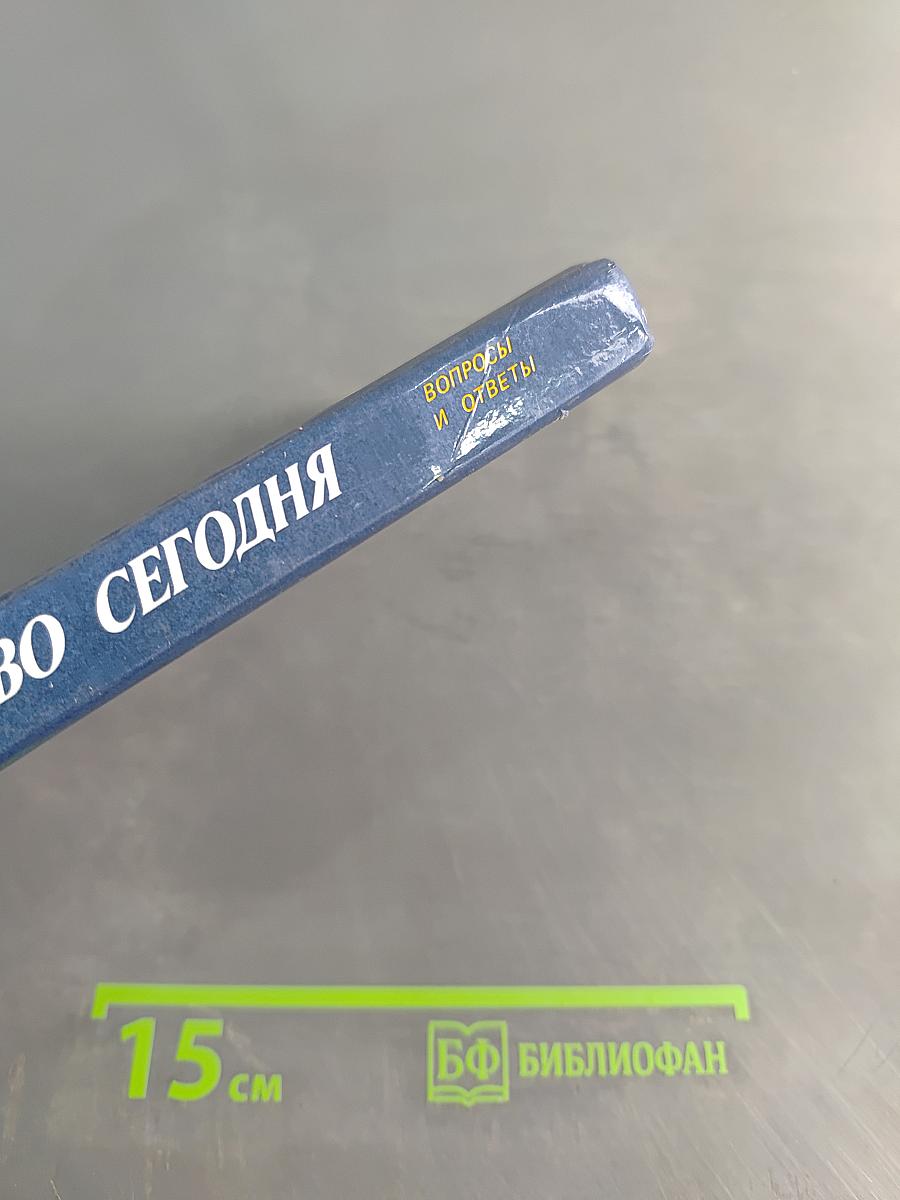 Советское общество сегодня: Вопросы и ответы