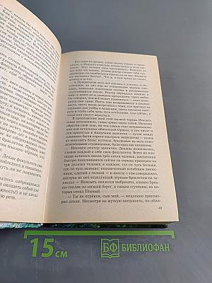 Рождение мага. Хранитель мечей. Книга первая