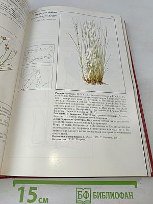 Красная книга РСФСР. Растения