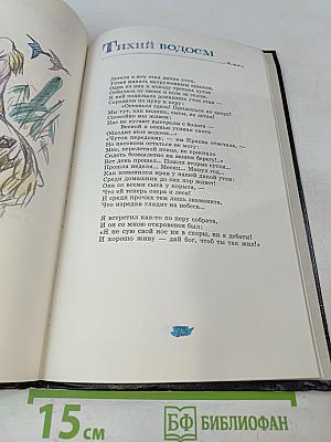 Лиса, Бобер и другие