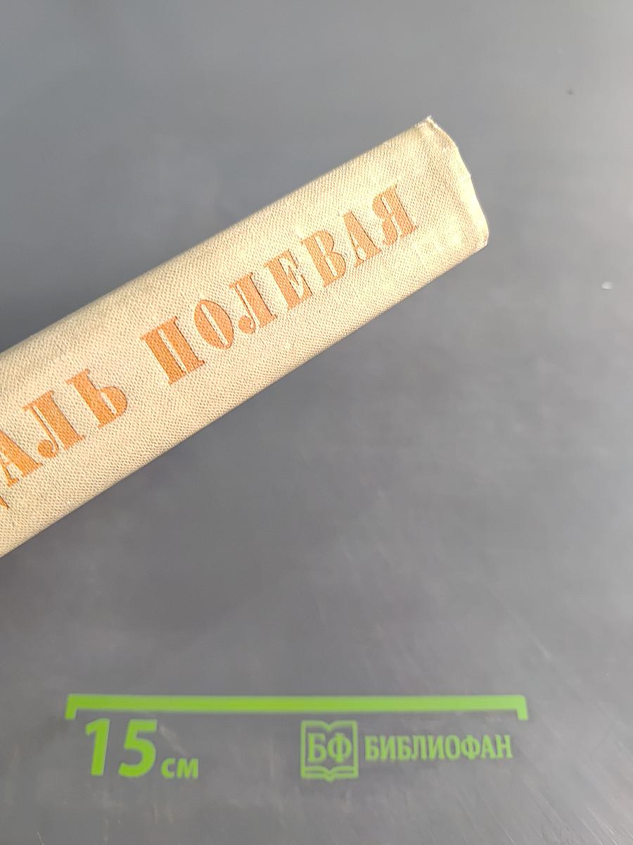 Даль полевая