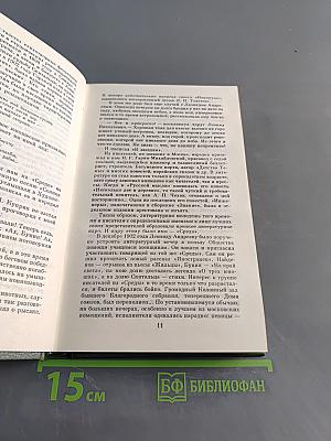 Русская литература XX века. Дооктябрьский период. Хрестоматия