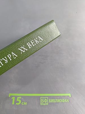 Русская литература XX века. Дооктябрьский период. Хрестоматия