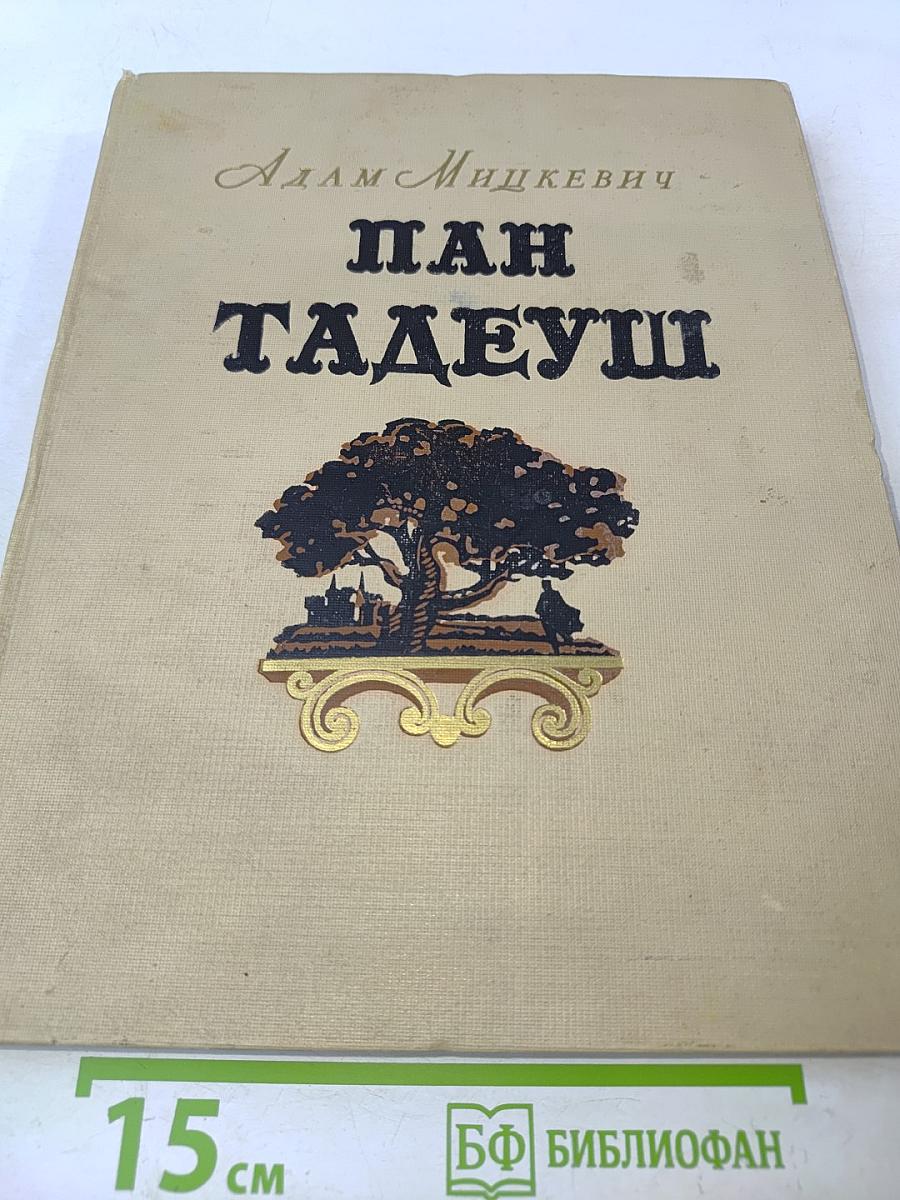 Пан Тадеуш, или Последний наезд на Литве