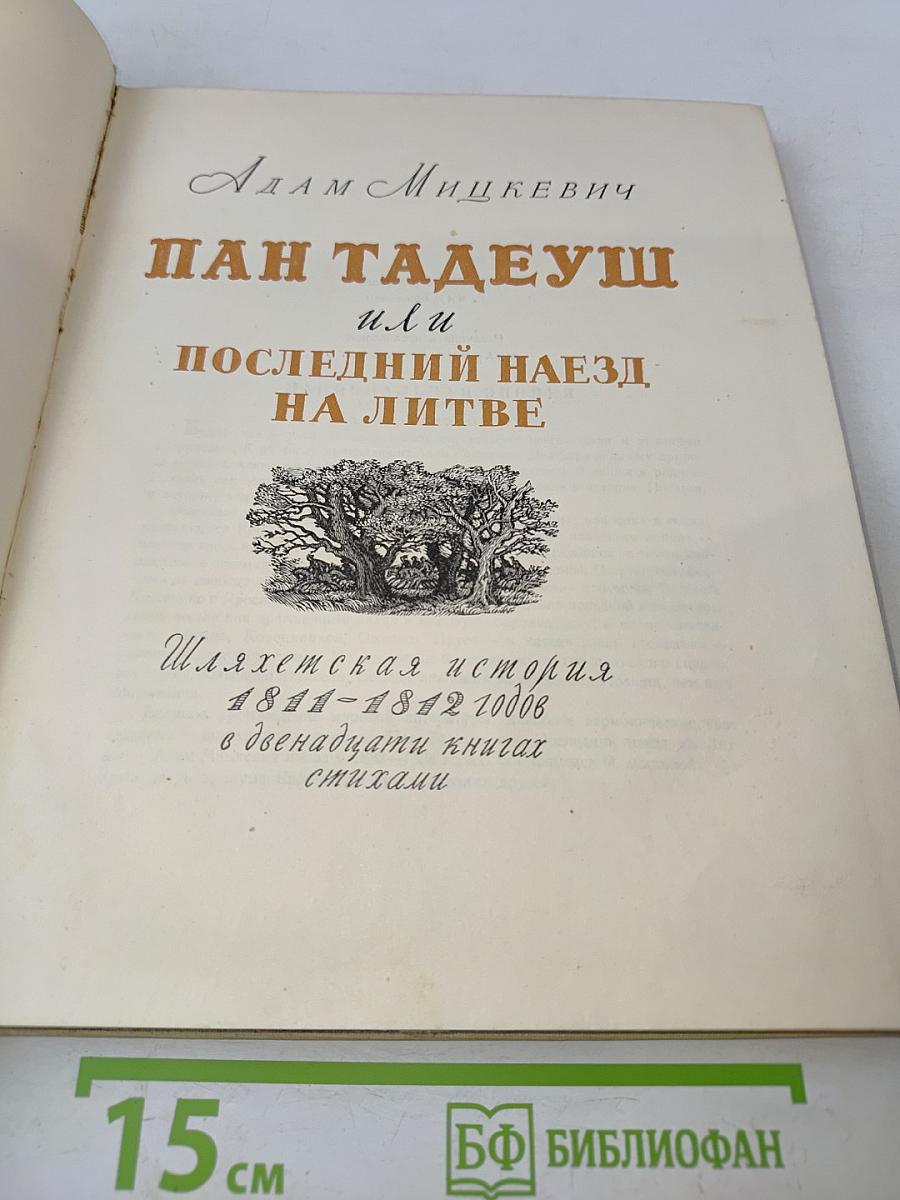 Пан Тадеуш, или Последний наезд на Литве