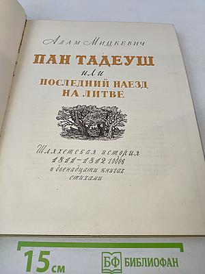 Пан Тадеуш, или Последний наезд на Литве