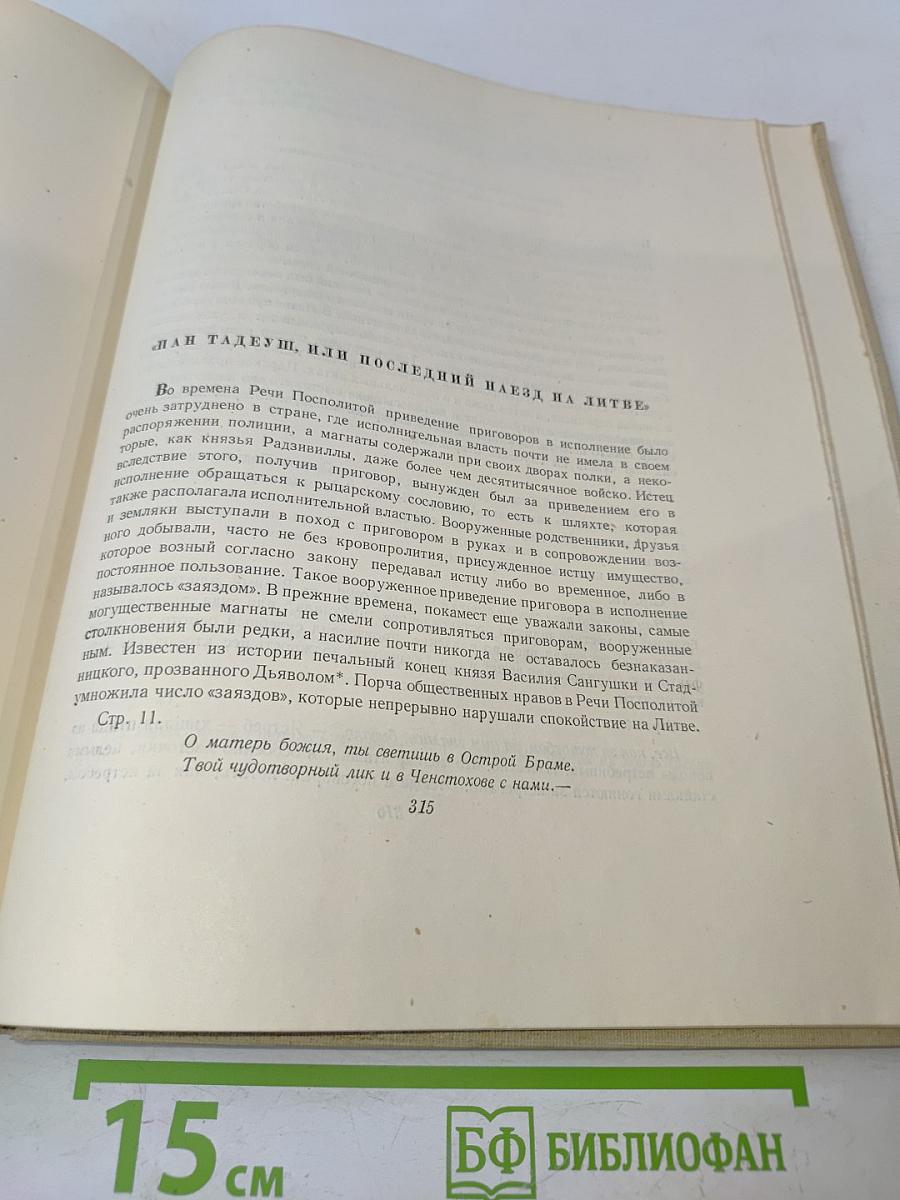Пан Тадеуш, или Последний наезд на Литве