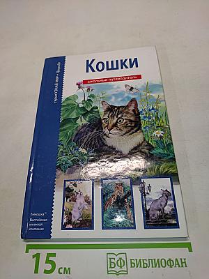 Кошки