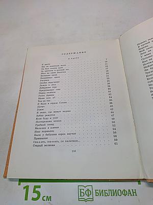 За цветами в зимний лес