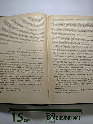 Человек, который смеется