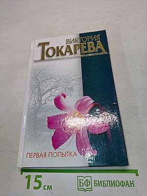 Первая попытка